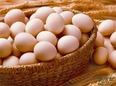 一周鸡蛋减肥食谱 一周不见10斤